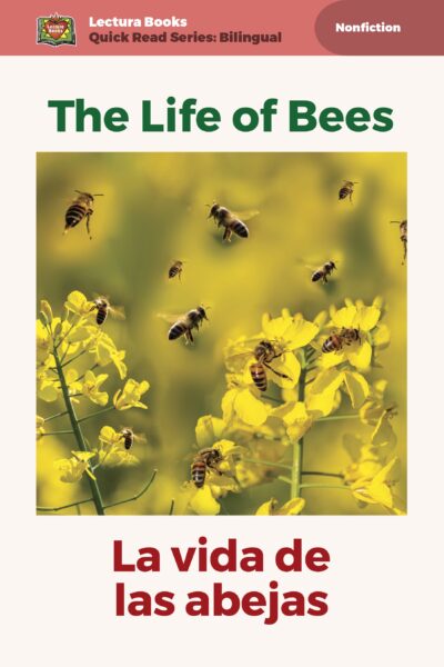 L3-Bees-11-cover